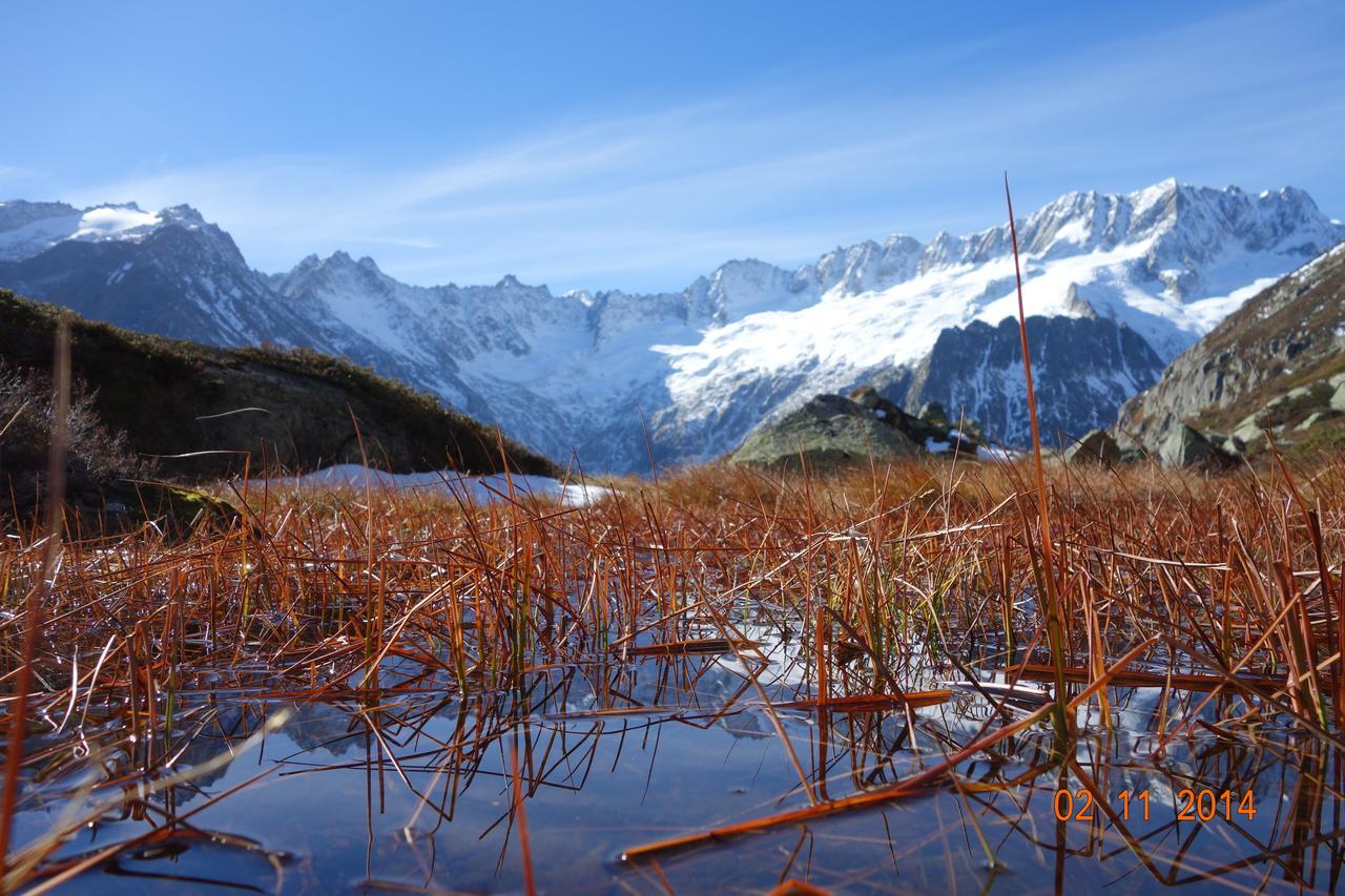 Gasthaus Goescheneralp Göschenen Εξωτερικό φωτογραφία